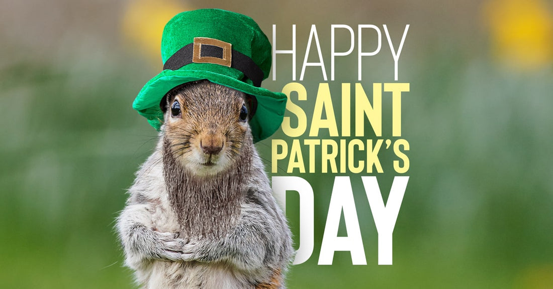 Sammy the Squirrel with st patrick hat. Text: Happy Saint Patrick's day