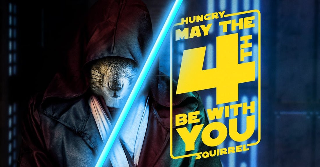 Squirrel in Star wars costume. text: Hungry Squirrel, may the 4th be with you